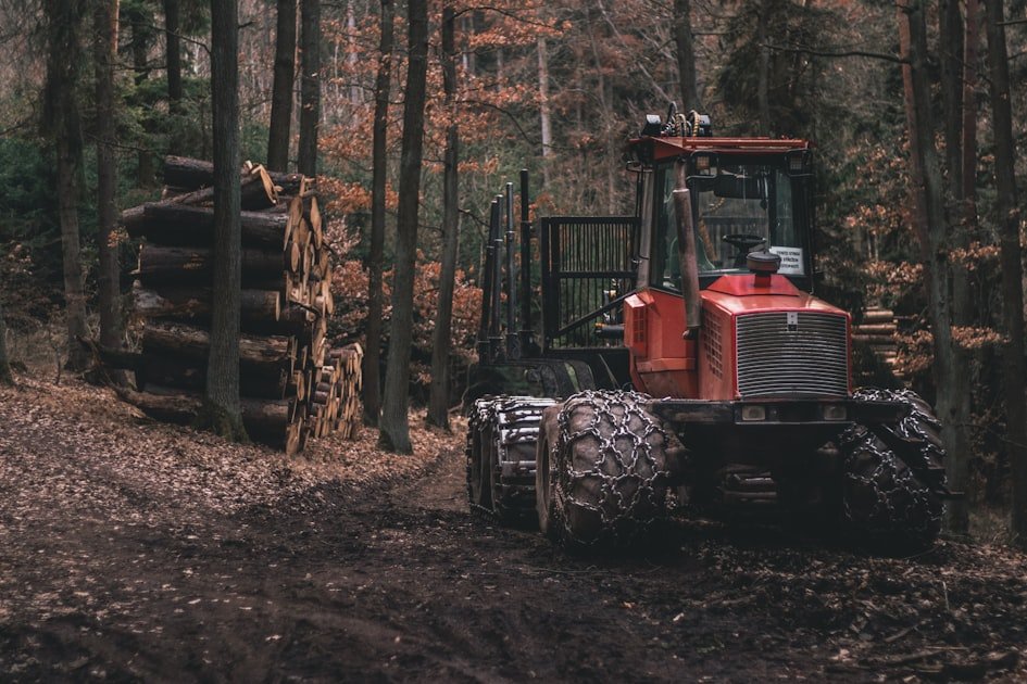 Benefits of Tree Pruning